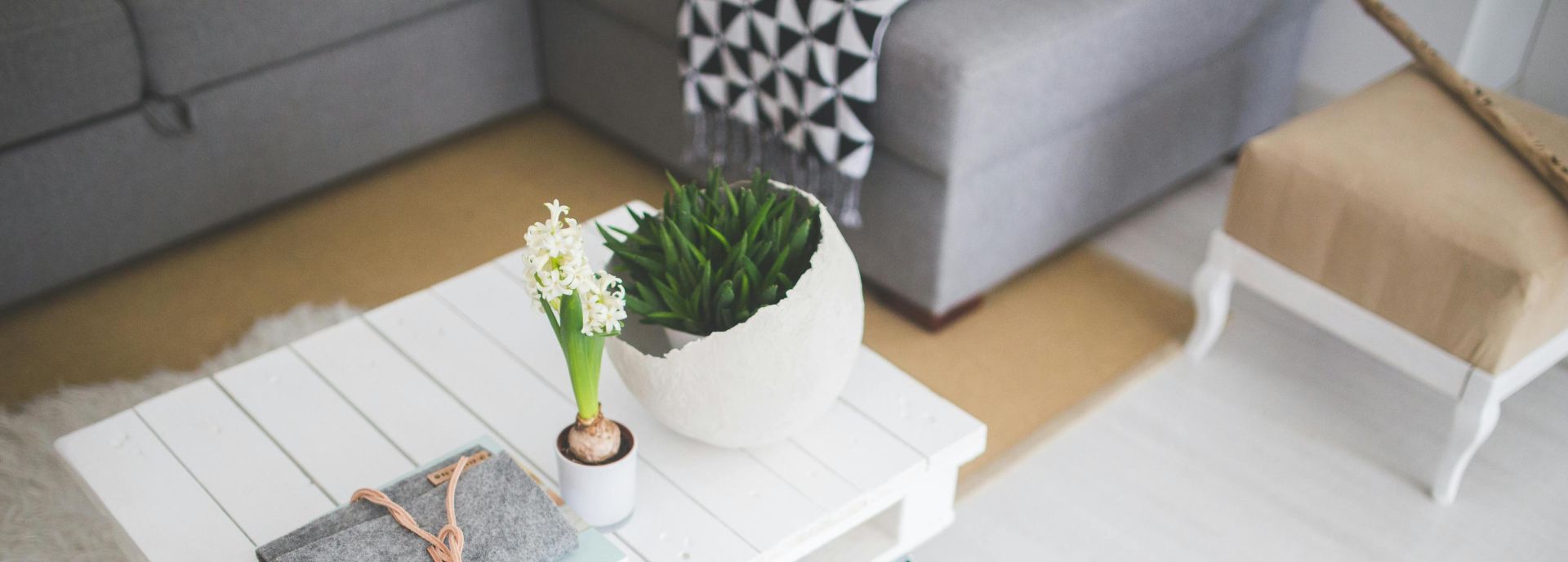 Cozy living room featuring a white pallet table, plants, and books for a minimalistic touch.